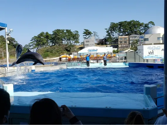 松島水族館