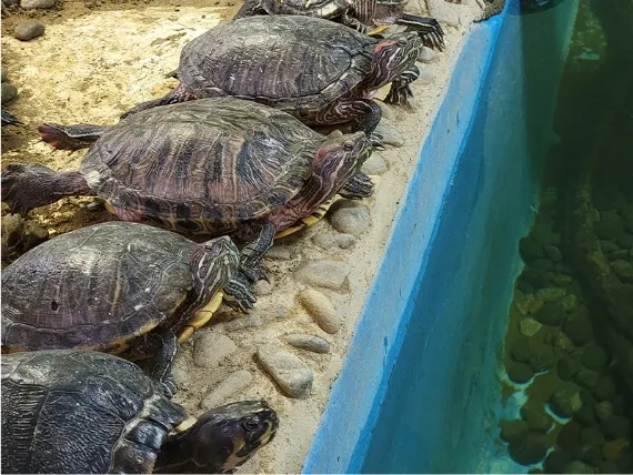 松島水族館