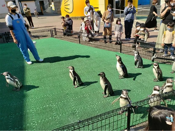 松島水族館