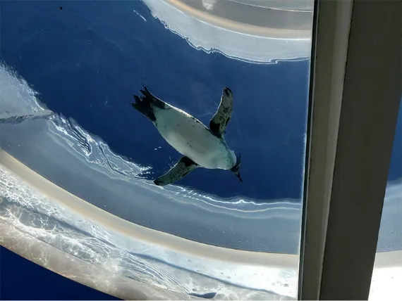 松島水族館